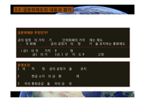 국제통화체제 레포트-10