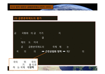 국제통화체제 레포트-19