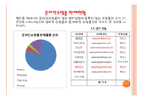스마트폰 케이스 사업계획서-13