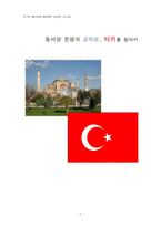 지구촌배낭여행 터키 여행-1