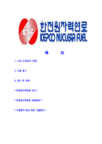 [한전원자력연료-최신공채합격자기소개서]한전원자력연료자기소개서자소서,한전원자력연료자소서자기소개서,한전원자력자소서,KEPCO합격자기소개서,한전원자력연료-2