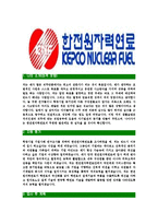 [한전원자력연료-최신공채합격자기소개서]한전원자력연료자기소개서자소서,한전원자력연료자소서자기소개서,한전원자력자소서,KEPCO합격자기소개서,한전원자력연료-3