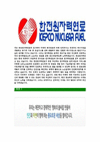 [한전원자력연료-최신공채합격자기소개서]한전원자력연료자기소개서자소서,한전원자력연료자소서자기소개서,한전원자력자소서,KEPCO합격자기소개서,한전원자력연료-4