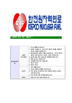 [한전원자력연료-최신공채합격자기소개서]한전원자력연료자기소개서자소서,한전원자력연료자소서자기소개서,한전원자력자소서,KEPCO합격자기소개서,한전원자력연료-6