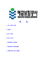 [예금보험공사-인턴사원공채합격자기소개서]예금보험공사자기소개서,예금보험공사합격자기소개서,예금보험자소서,합격자소서,자기소개서자소서,입사지원서-2