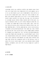 카스 CASS 브랜드분식및 SWOT,STP 분석과 카스 마케팅 4P 전략제안(카스 마케팅전략제안 보고서)-2