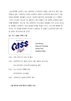 카스 CASS 브랜드분식및 SWOT,STP 분석과 카스 마케팅 4P 전략제안(카스 마케팅전략제안 보고서)-3