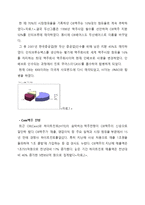 카스 CASS 브랜드분식및 SWOT,STP 분석과 카스 마케팅 4P 전략제안(카스 마케팅전략제안 보고서)-5