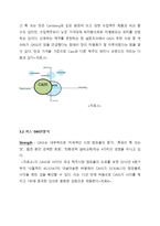 카스 CASS 브랜드분식및 SWOT,STP 분석과 카스 마케팅 4P 전략제안(카스 마케팅전략제안 보고서)-8