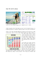YAHOO 야후 초기성공 마케팅전략분석과 쇠퇴원인분석및 야후의 향후전략과 대안제안-10