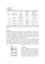 아이코닉스 기업분석과 뽀로로 성공전략분석및 당면과제및 향후방향분석-15