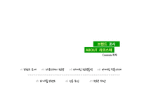 Lacoste 라코스테 마케팅 성공사례분석과 새로운 마케팅전략제안-2