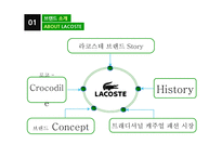Lacoste 라코스테 마케팅 성공사례분석과 새로운 마케팅전략제안-3