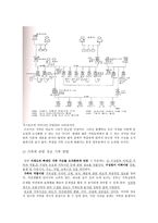 사회복지실천론-가계도작성-9