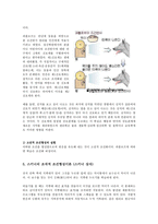 (아동발달)행동주의 이론의 특성을 설명하고 왓슨의 원리를 적용한 행동사례를 들어보시오.-3