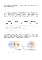아동발달-비고스키이론과 피아제이론의비교-3