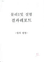 물리 실험 힘의 평형 [결과]-1