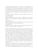 우리나라에서 현재 시행되고 있는 장애인 직업재활 제도와 문제점을 기술하고, 향후 장애인 고용율을 높이기 위한 방법에 대해 기술하시오.-3