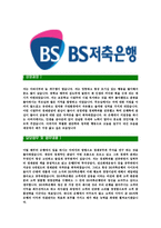 [BS저축은행-최신공채합격자기소개서]BS저축은행자기소개서자소서,BS저축은행자소서자기소개서,부산은행자소서,저축은행합격자기소개서,BS합격자소서-3