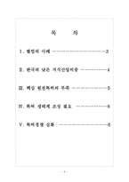 [특허경영]한국의 지식산업 문제점과 발전방향 보고서-2