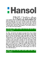 [한솔PNS인티큐브-최신공채합격자기소개서]한솔PNS자기소개서자소서,인티큐브자소서자기소개서,한솔PNS자소서,인티큐브합격자기소개서,한솔PNS인티큐브-4