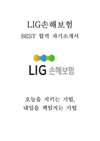 LIG손해보험 대졸 인턴 최신 BEST 합격 자기소개서!!!!-1