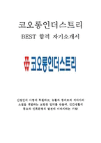 코오롱인더스트리 FnC부문 인턴 최신 BEST 합격 자기소개서!!!!-1