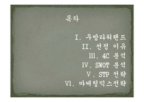 우방타워랜드 마케팅전략입니다..-2