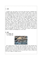 칸영화제와 부산국제영화제의 비교-2