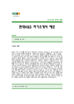 [현대H&S자기소개서] 현대H&S 자기소개서 예문 -현대에이치앤에스 합격자기소개서(현대에이치엔에스 합격자소서) -현대H&S 공채 입사지원서-1