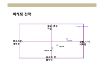 젊은 감각의 컴팩트 비클(Compact Vehicle)의 상품 개발&마케팅 전략 기획서-12