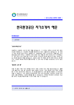 [한국환경공단자기소개서] 한국환경공단 자기소개서 예문 -한국환경공단합격자기소개서(한국환경공단합격자소서) -한국환경공단 온실가스관리 입사지원서-1