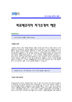 [히로세코리아자기소개서] 히로세코리아 자기소개서 예문 -히로세코리아합격자기소개서(히로세코리아합격자소서샘플)-1