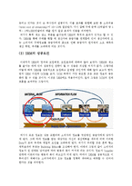 SRM도입효과와성공조건-9