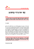 [SK케미칼자기소개서] SK케미칼 자기소개서 예문_SK케미칼 영업직 합격 자소서 샘플_SK케미칼 영업분야 합격 자기소개서-1