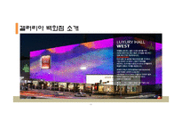 CRM 사례를 통해 본 갤러리아백화점의 BI사례 분석-5