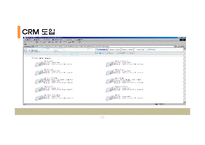 CRM 사례를 통해 본 갤러리아백화점의 BI사례 분석-12