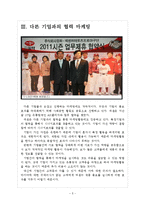 [넥센 기업분석]넥센 마케팅전략분석 보고서-5