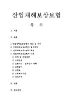 산업재해보상보험(산재보험) 보고서-1