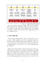 삼성 스포츠마케팅 사례분석과 향후전망(첼시 스폰사례분석위주)-5