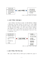 삼성 스포츠마케팅 사례분석과 향후전망(첼시 스폰사례분석위주)-7