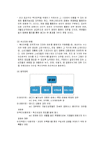 국제광고 전략 및 촉진 방법-5