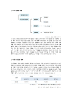 코카콜라와 펩시콜라 비교 분석-4