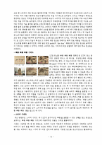 Olleh KT의 광고 분석-16