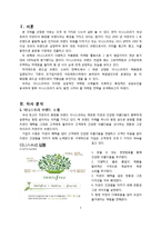 이니스프리 마케팅 전략-3