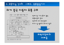 글로벌 유통전략 사례 연구-20