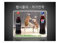 코카콜라와 펩시콜라 비교 분석-18