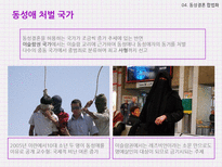 국내외 동성애 사례와 동성애의 문화콘텐츠화 고찰-15