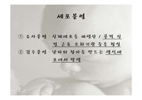 인간행동과 사회환경-태내기와 신생아기-4