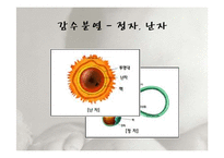인간행동과 사회환경-태내기와 신생아기-5